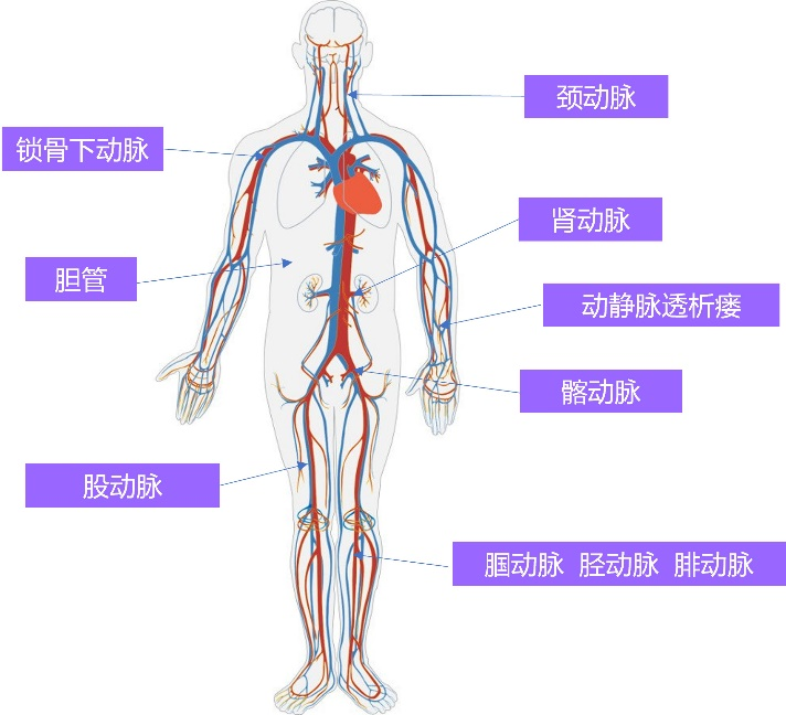&#24320;&#20113;&#32593;&#39029;&#29256;